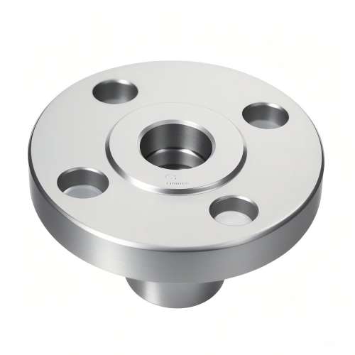 Stainless Steel Flange Reverse Side